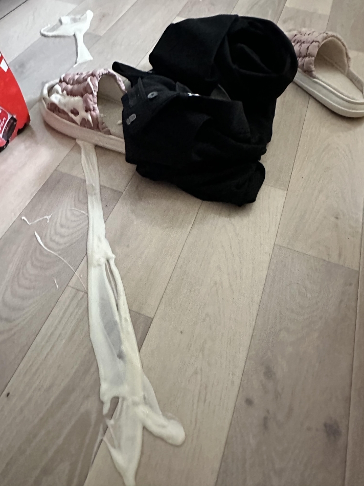 ヨーグルトの舞🪽