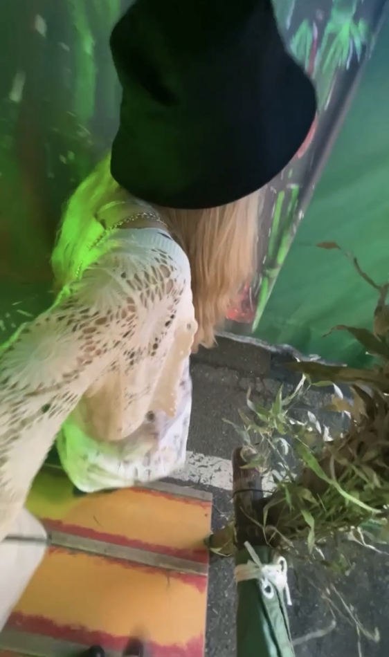 Wednesday☻（ 7月2$BF|(B $B!K(B