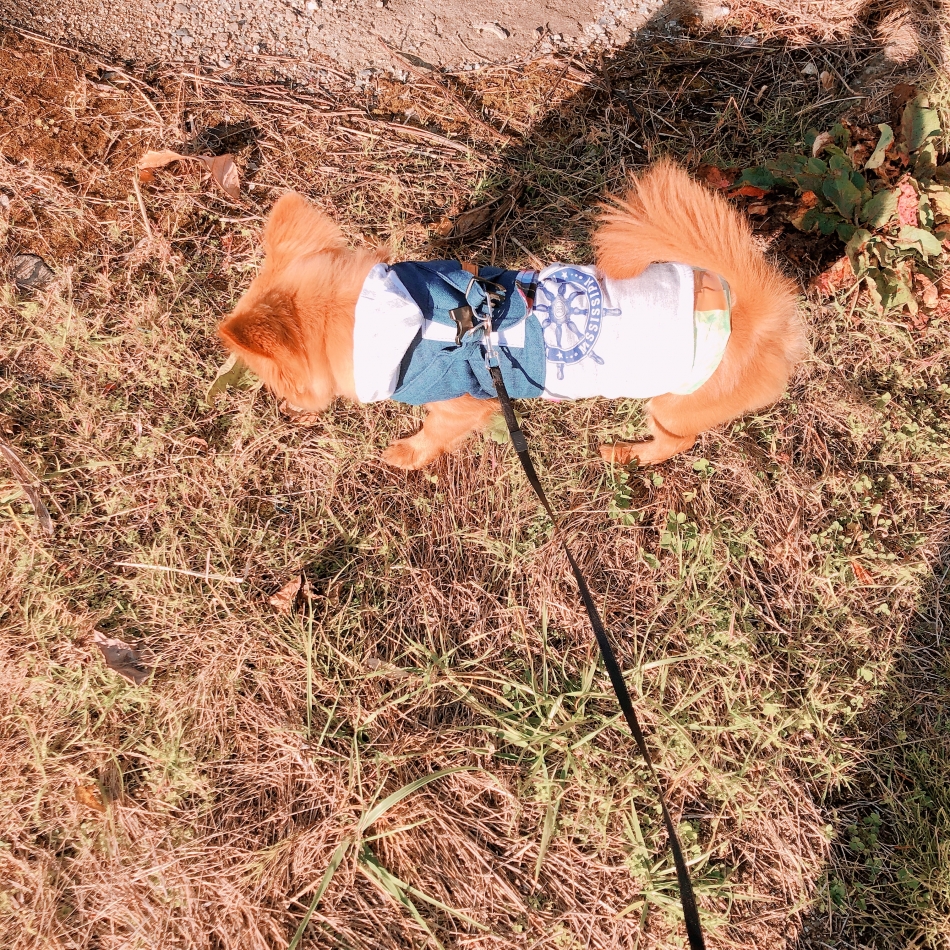 CLUB BOSS日記1622849