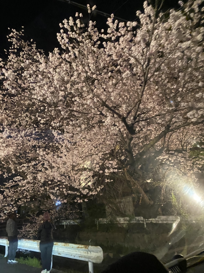 4月3日 02時03分のブログ