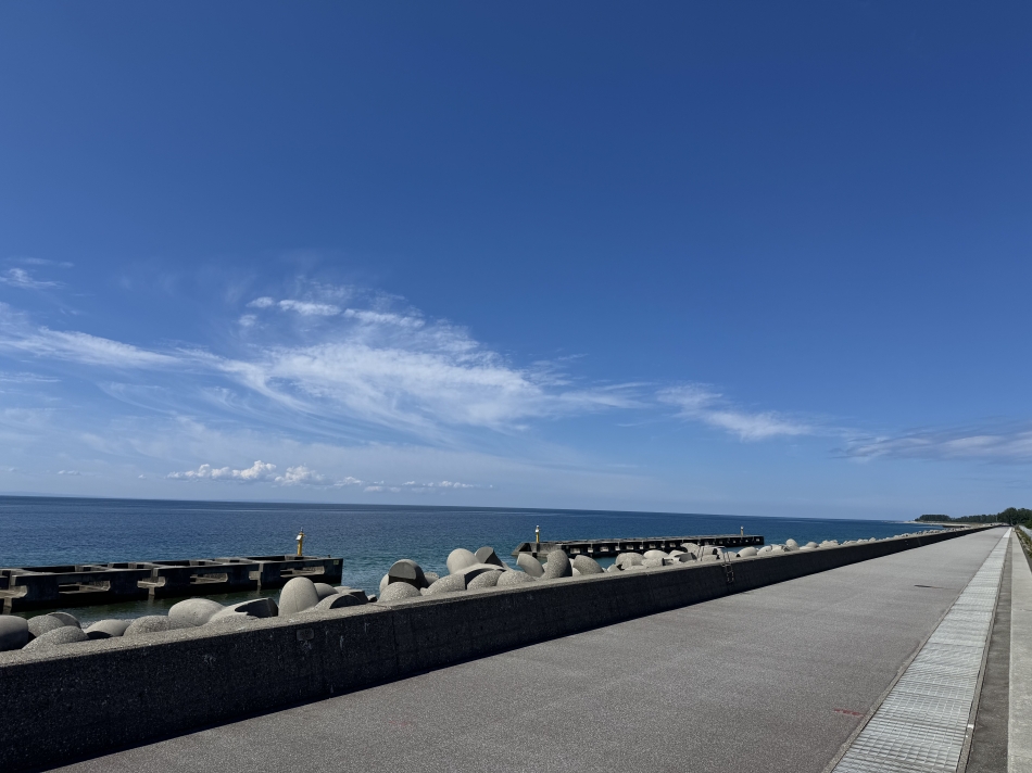 毎日暑すぎて嫌になってきた