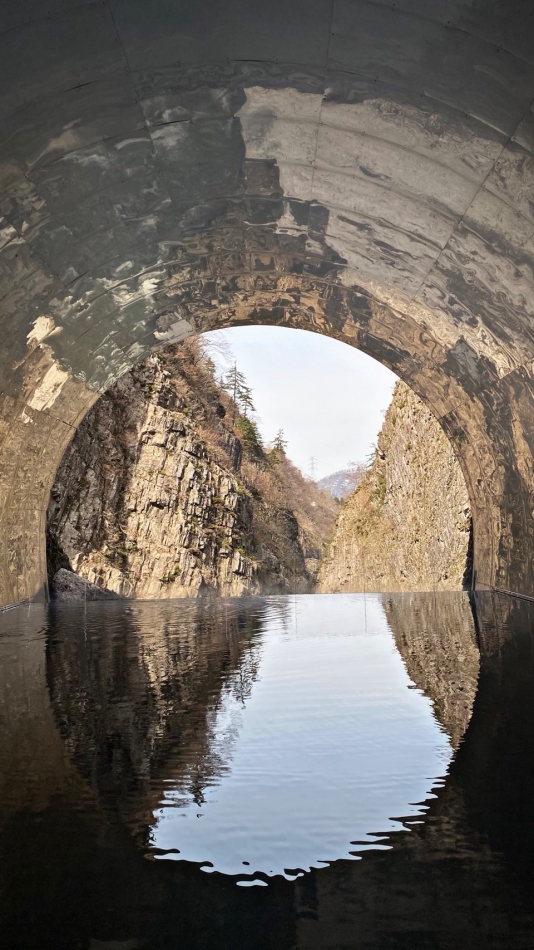 コンセプトカフェ あにまる宮殿日記1624682