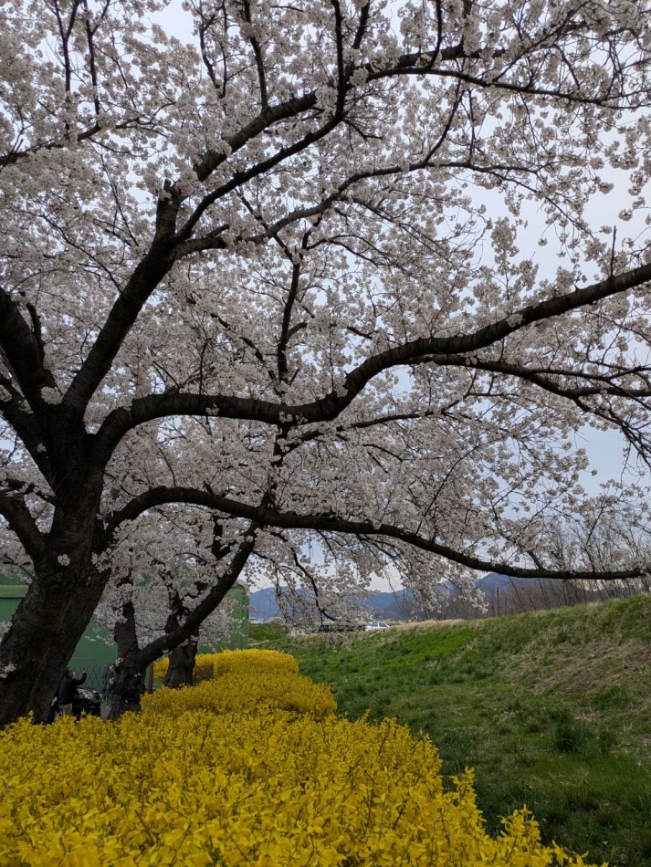 JARDIN CLUB日記1637181