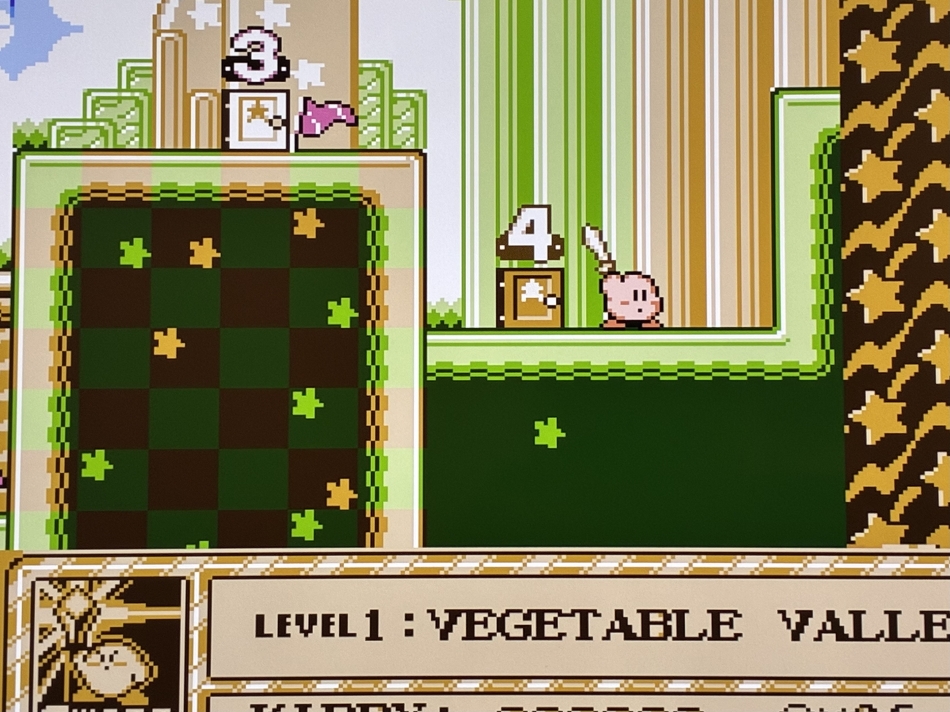 ダフネ日記1515851