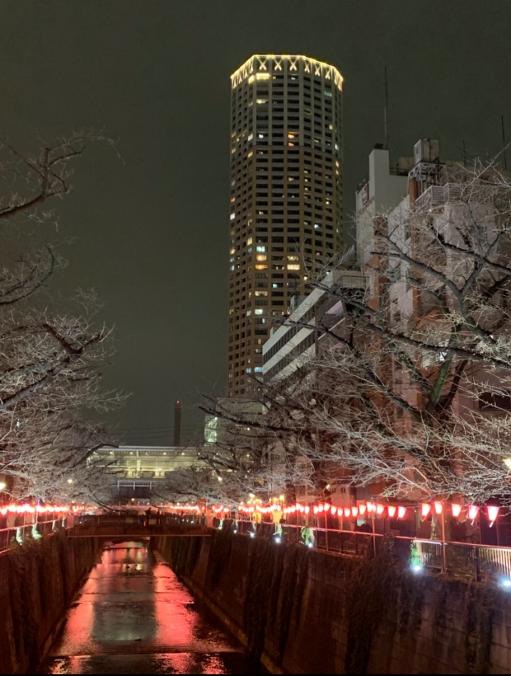 熟女キャバクラ Lips日記1624316