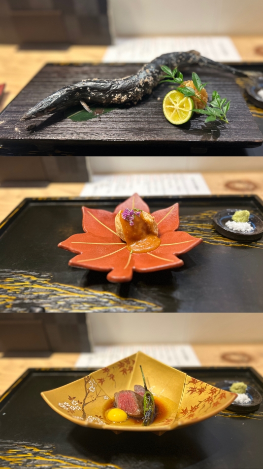 V-niigata-日記1789292