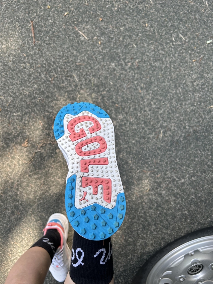 一条 葵