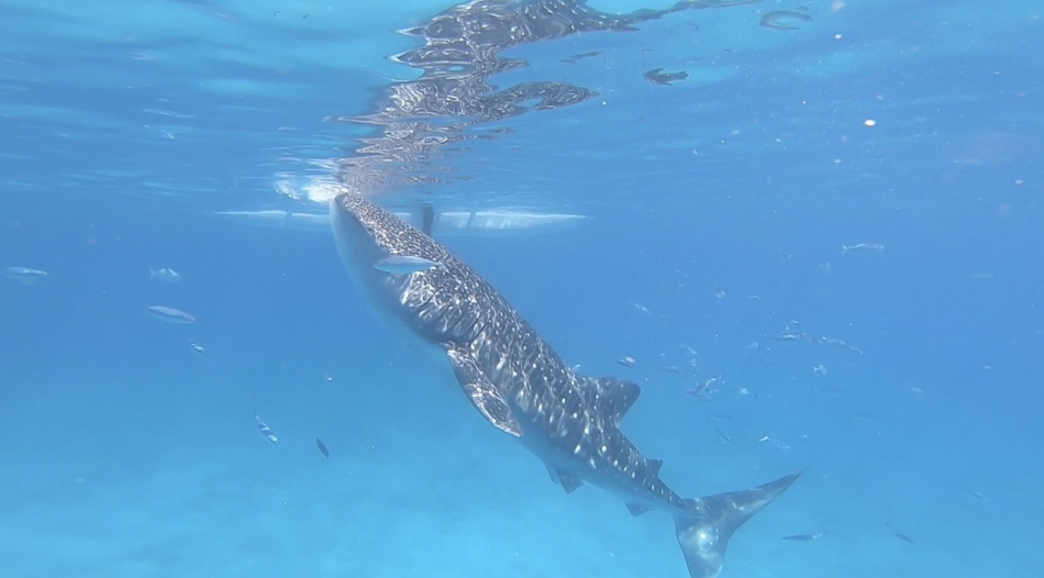 りまちゃんbirthday