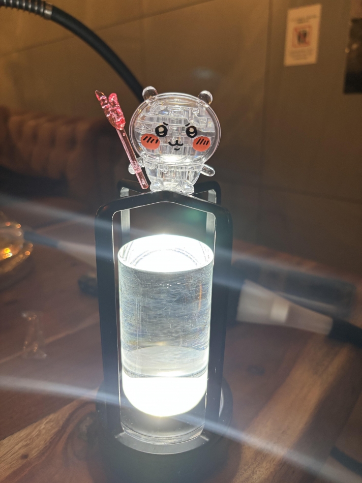 一条 葵