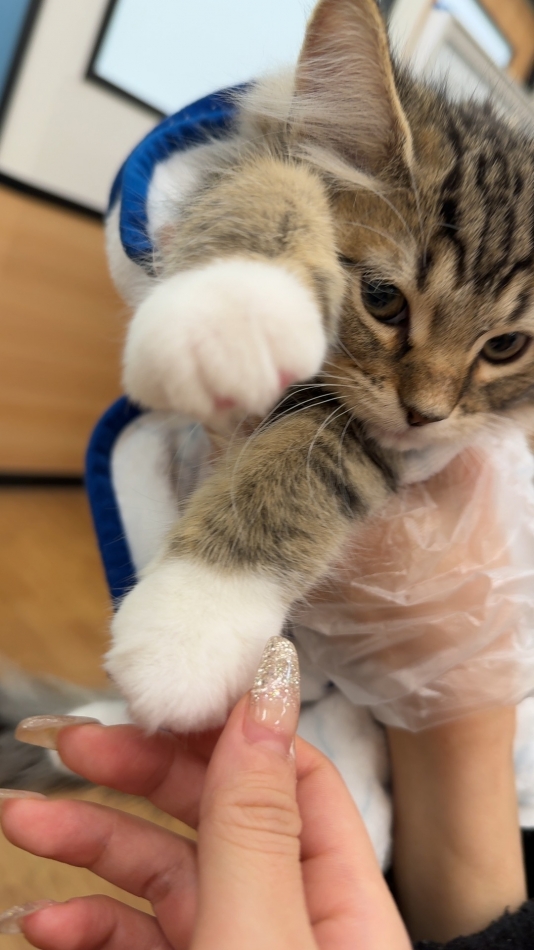 あけましておめでとうございます！