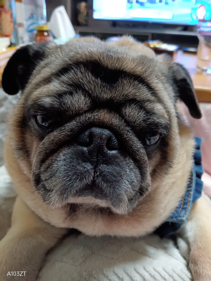 じっとしてられない