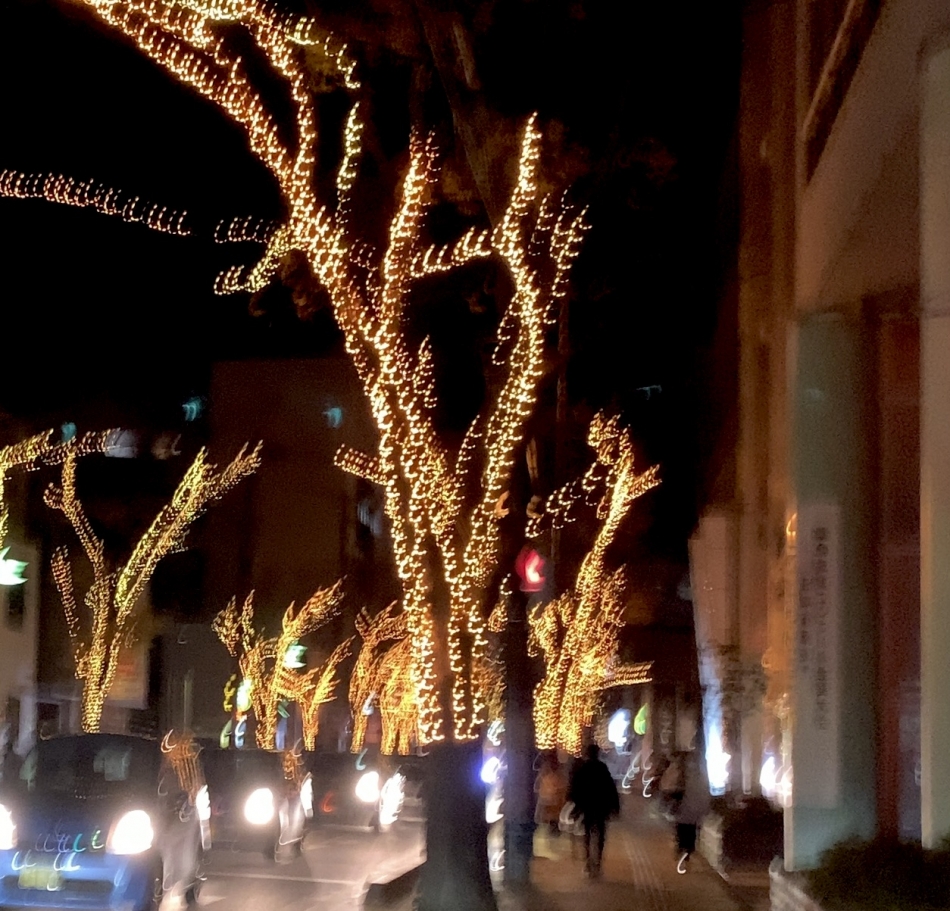 12月8日 20時02分のブログ