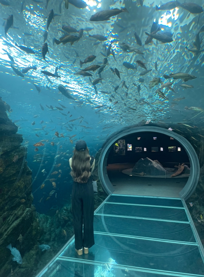 ハマってること°?🐠