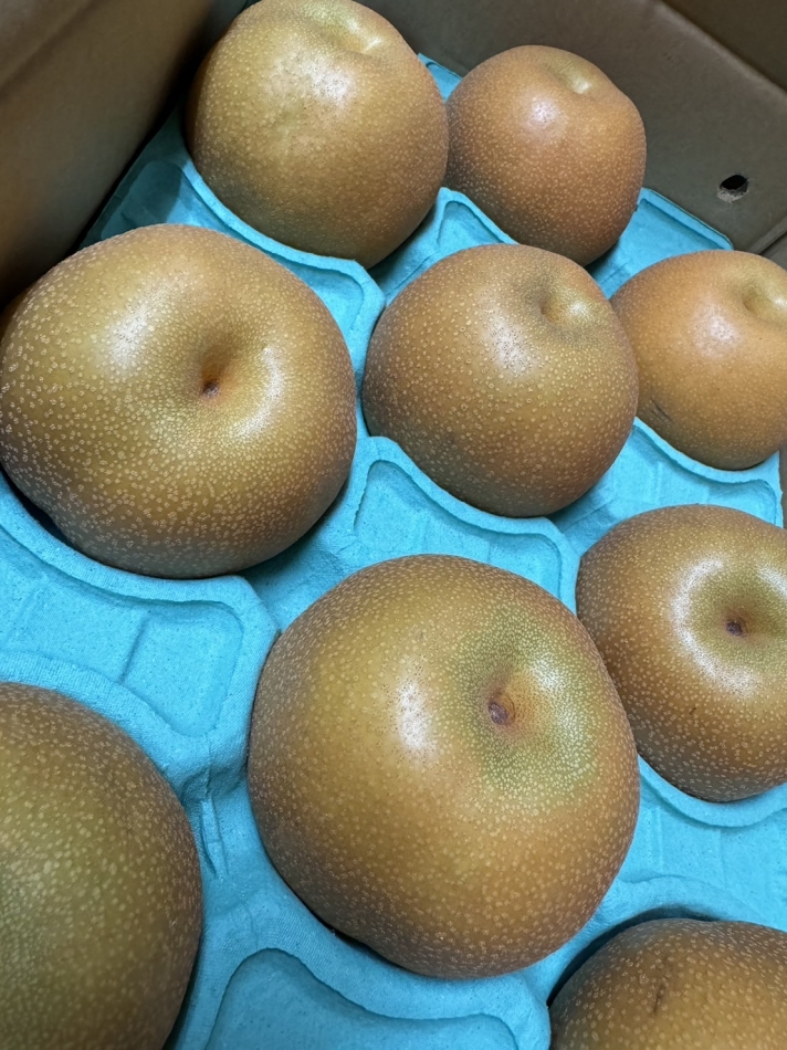 Club 撫子日記1463486