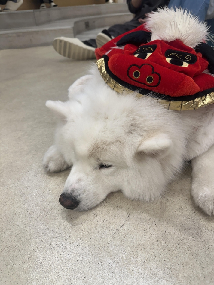 ⑅︎ᩥ𞄵•ܸ · •ܸ&# x2445;︎ᩥ𞄵