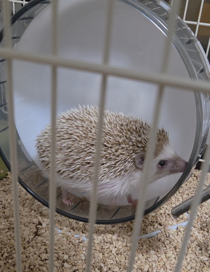 クラブ プラチナ 上田日記1638440
