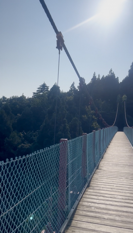 一条 葵