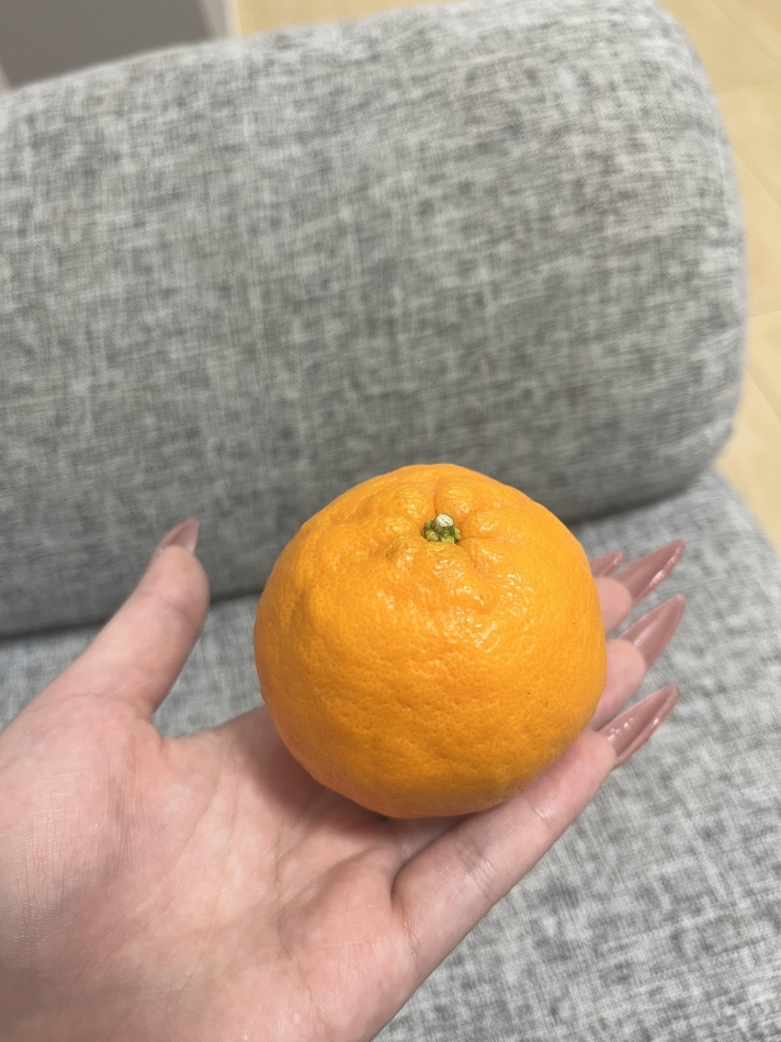 定休日🔔𓈒𓂂𓇬