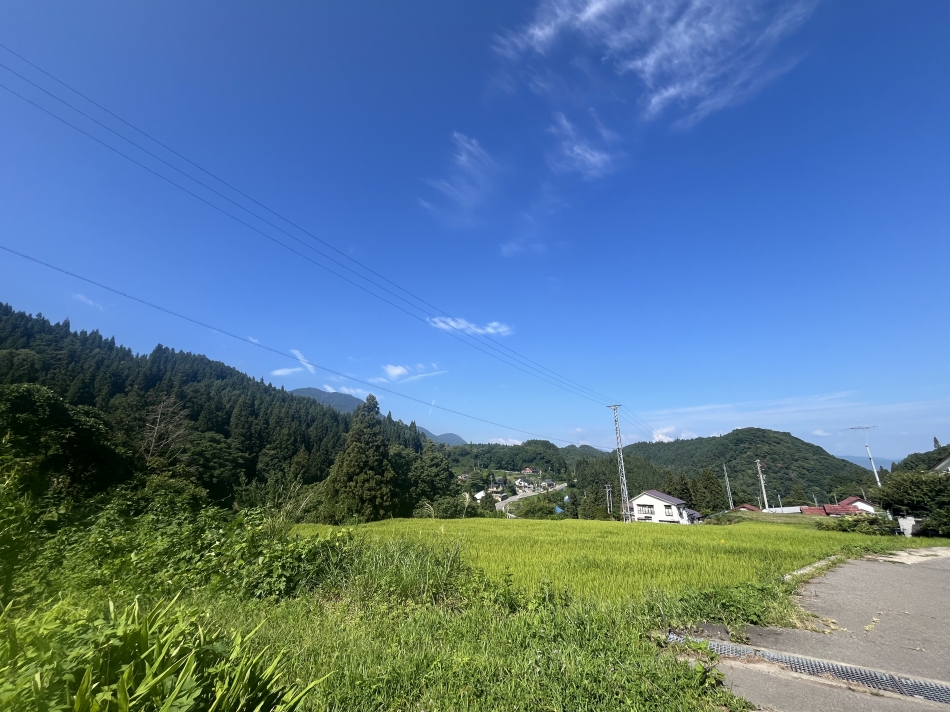 Lounge Veranda日記1750845