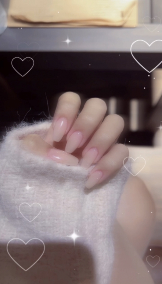 一条 葵