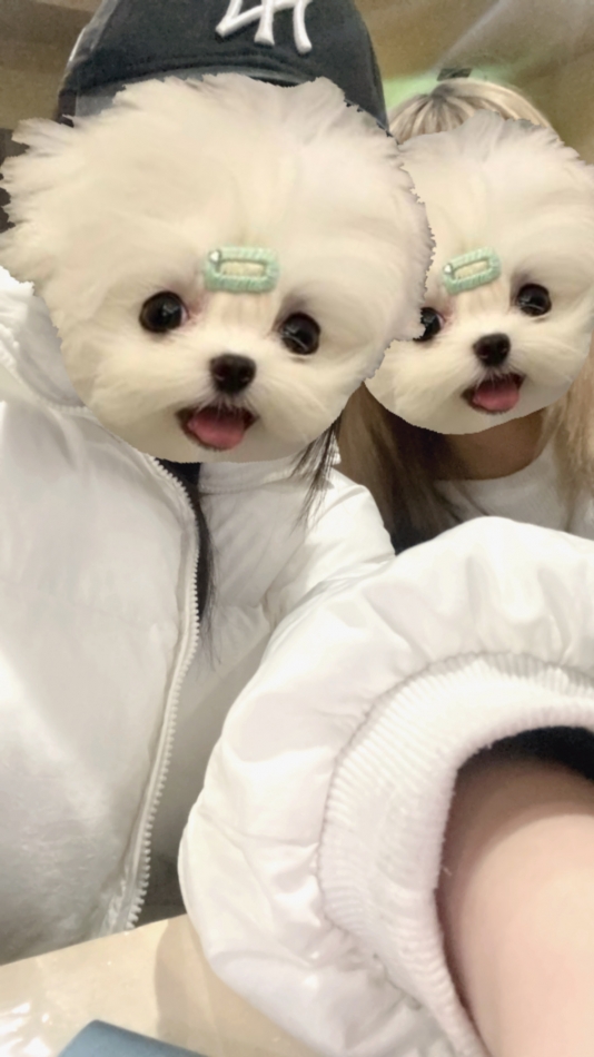 9月4日 18時56分のブログ