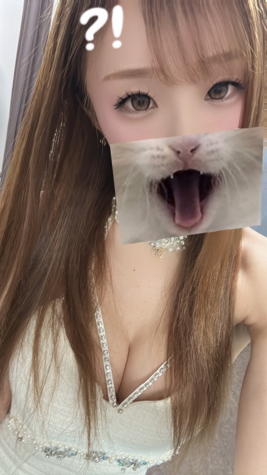 CLUB　Paladin日記1552551