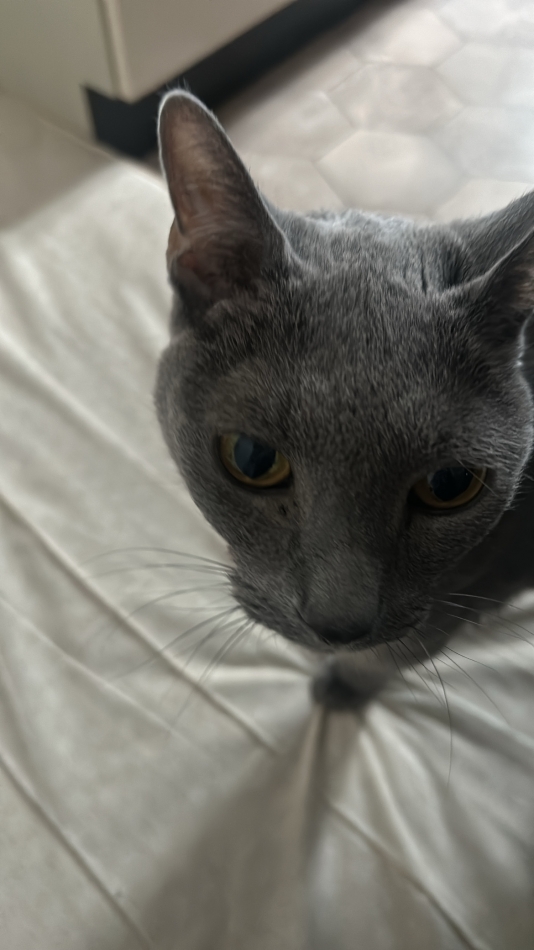 Club Ruby日記1393713