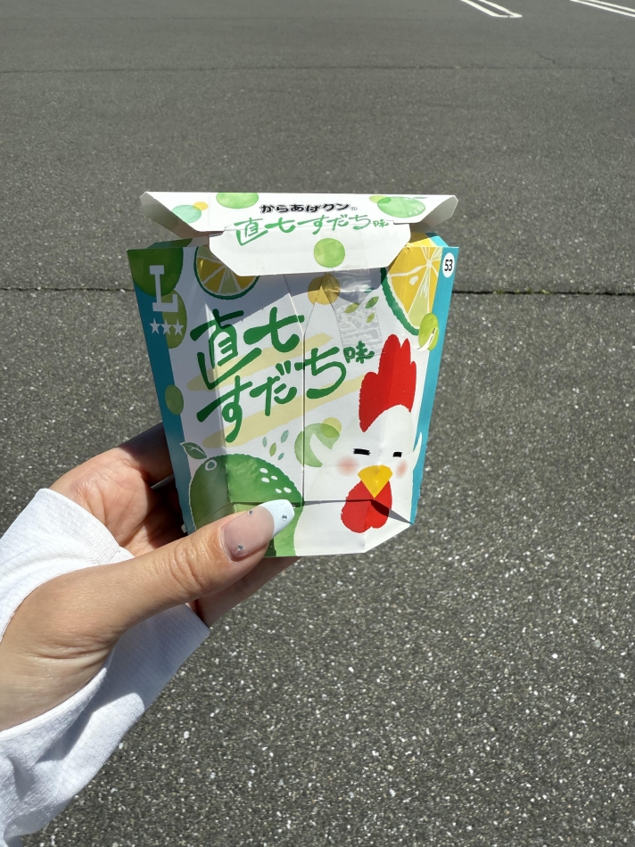 一条 葵