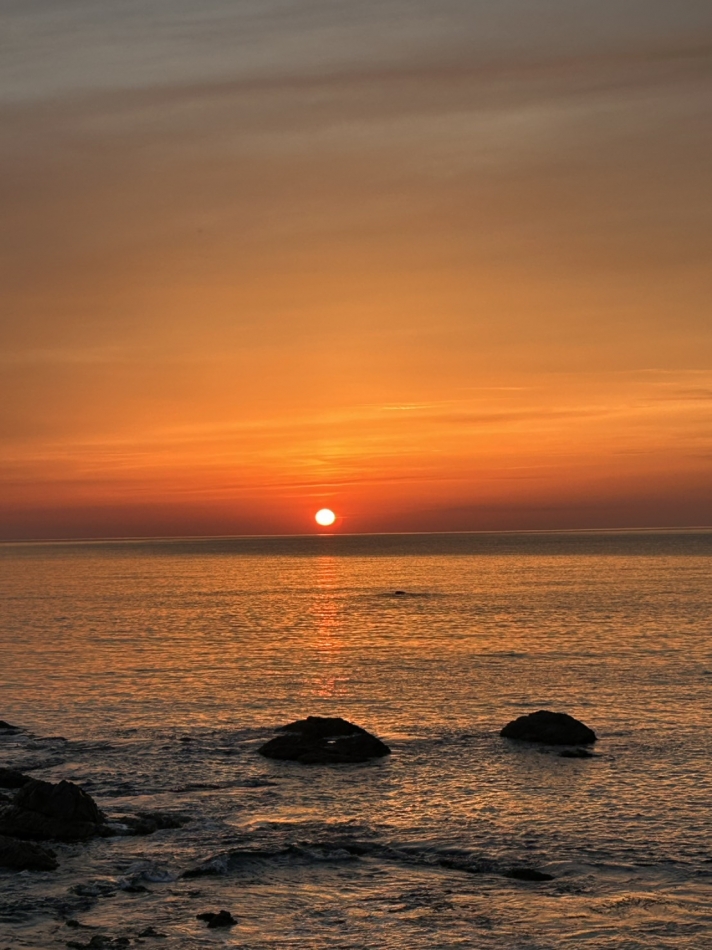 JEUNESSE日記1632325