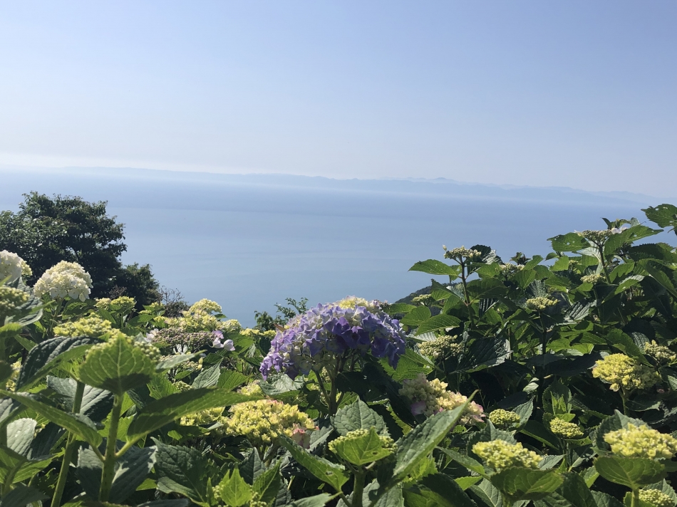 弥彦行ってきた🗻