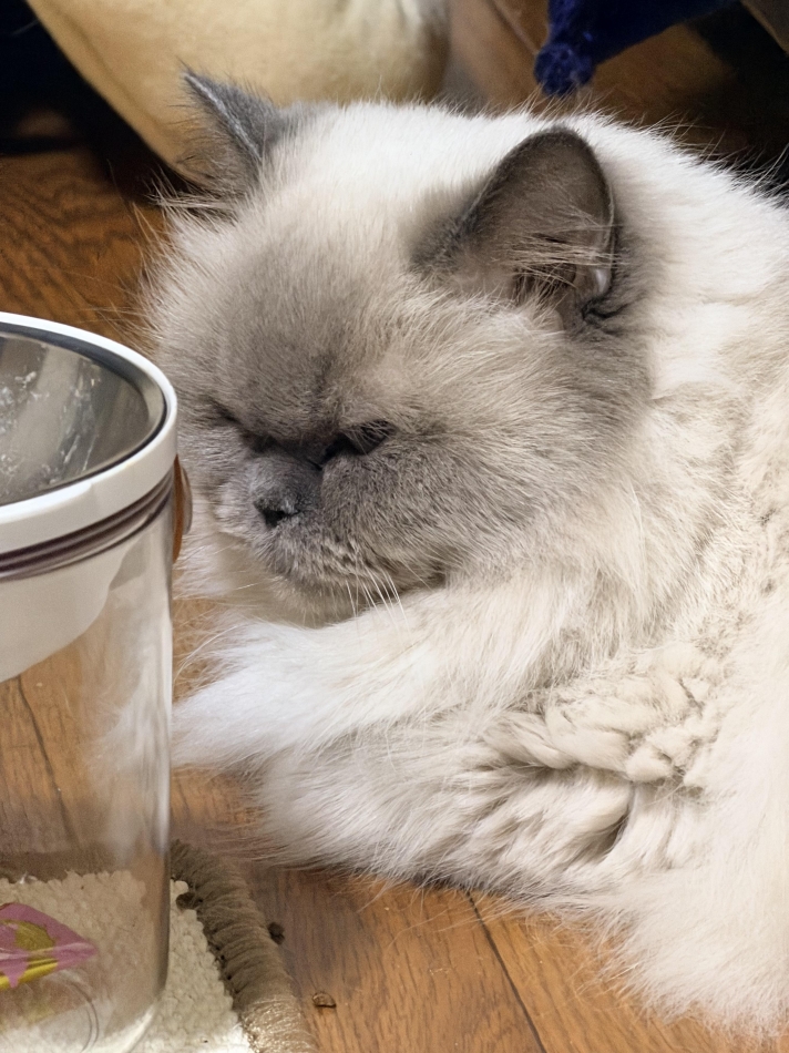 疲れが取れない歳のせい