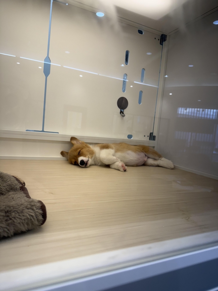 clubTiara日記1613144