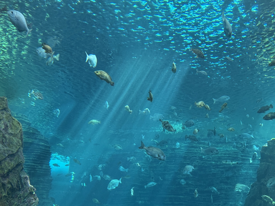 9月1日 21時31分のブログ