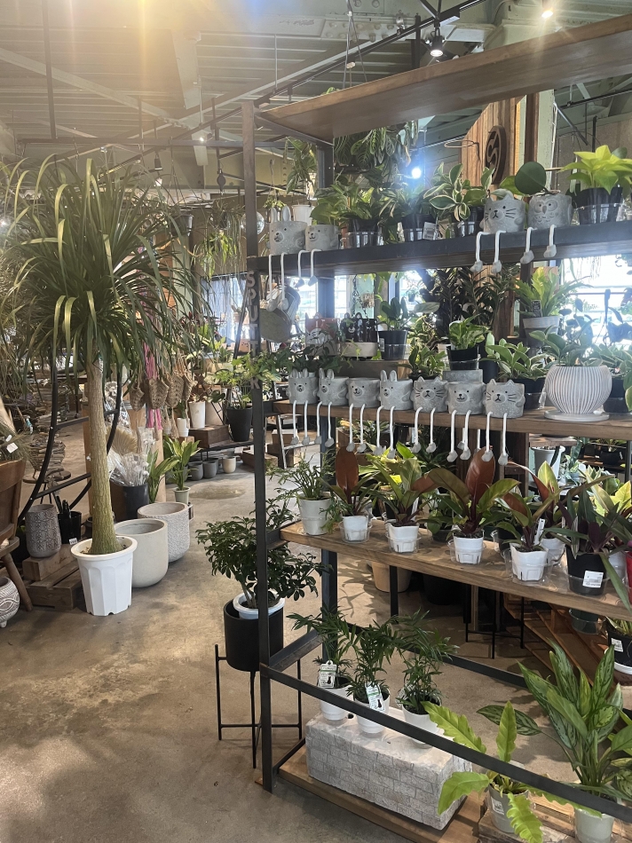 CLUB Reve日記1579926