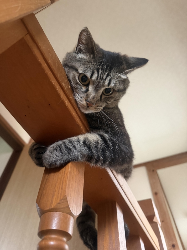 クラブ プラチナ 諏訪日記1700473