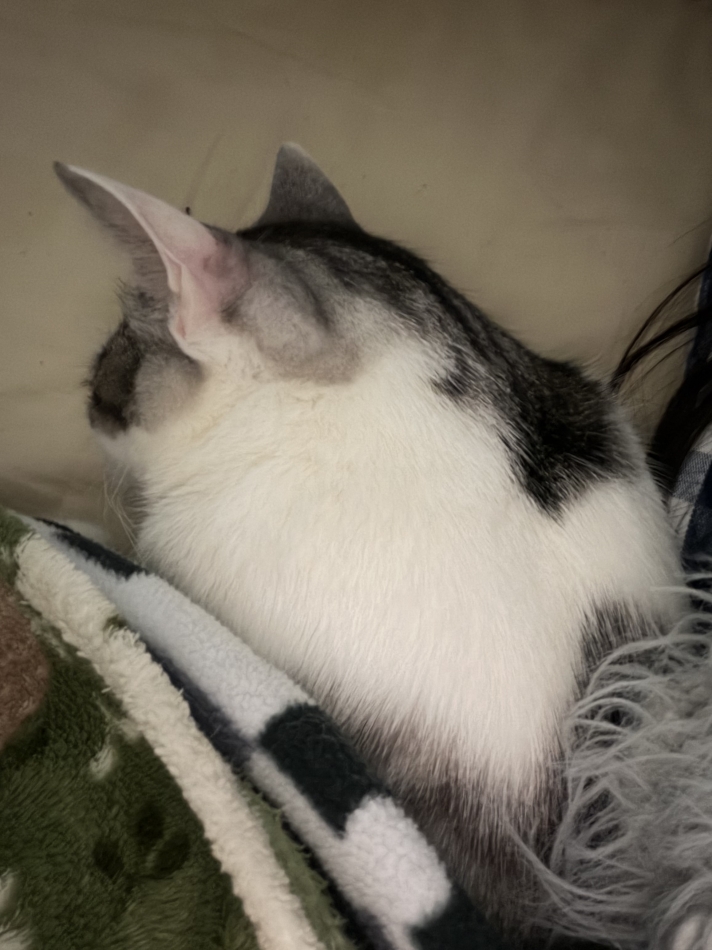 カラオケハイボールbar美人姉妹日記1610906