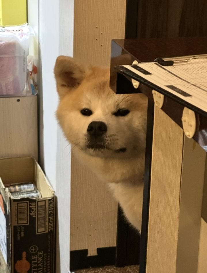 lounge Remika日記1370736