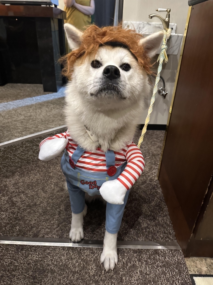 lounge Remika日記1478121