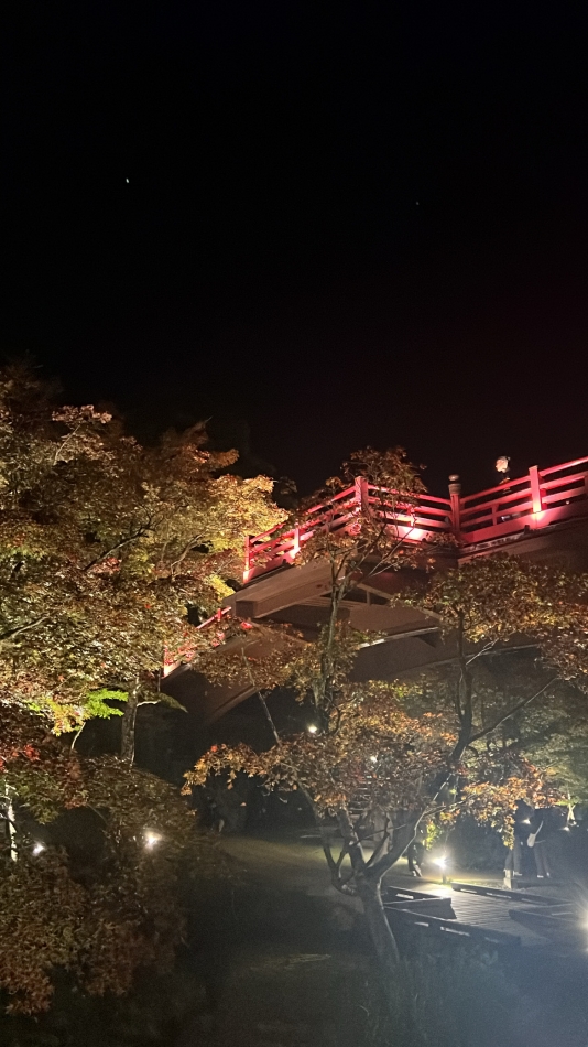 おだやか～🍁🎶