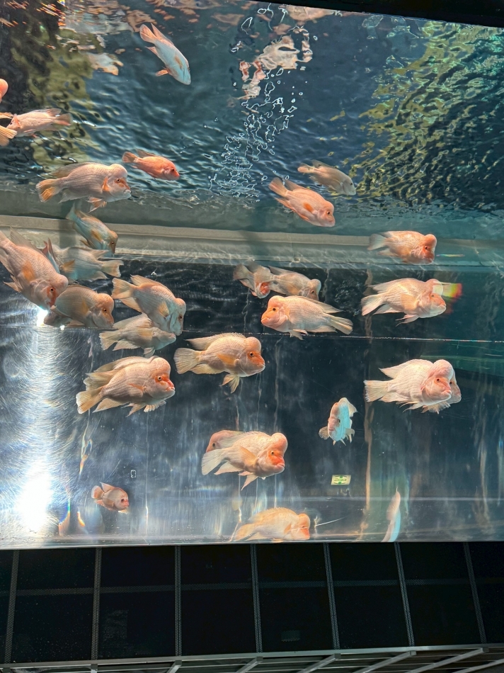 クラブ プラチナ 諏訪日記1608234