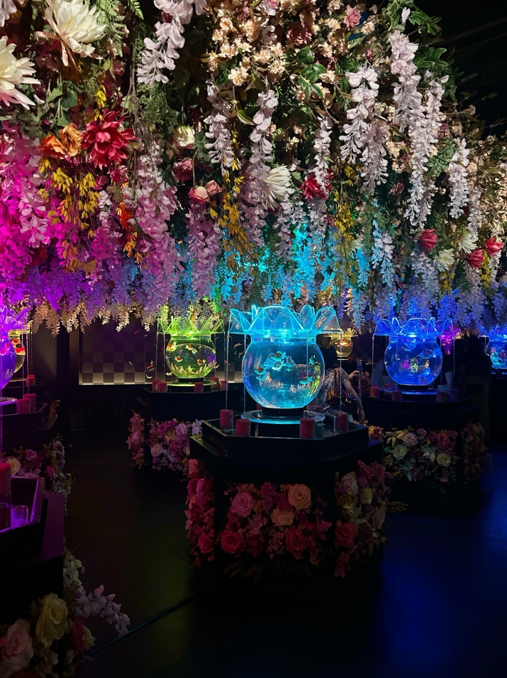 アクアリウム♪♪