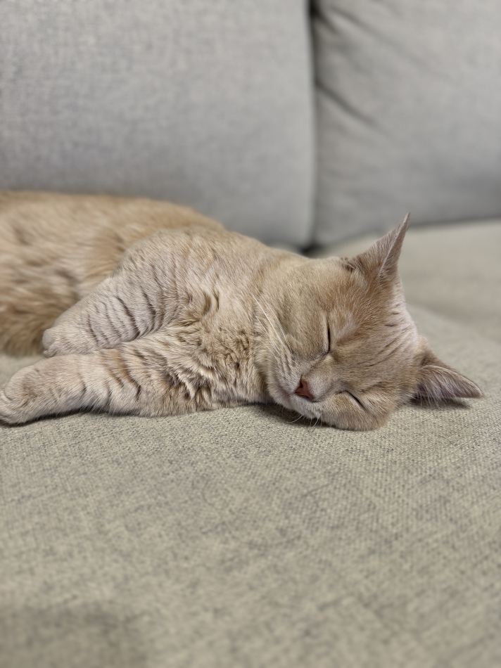 CLUB BOSS日記1528494