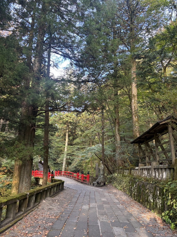 コンセプトカフェ　夢見る廃教会〜明日死ぬかもしれないぢゃん〜日記1503510