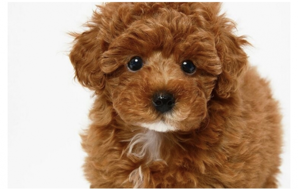 clubTiara日記878295