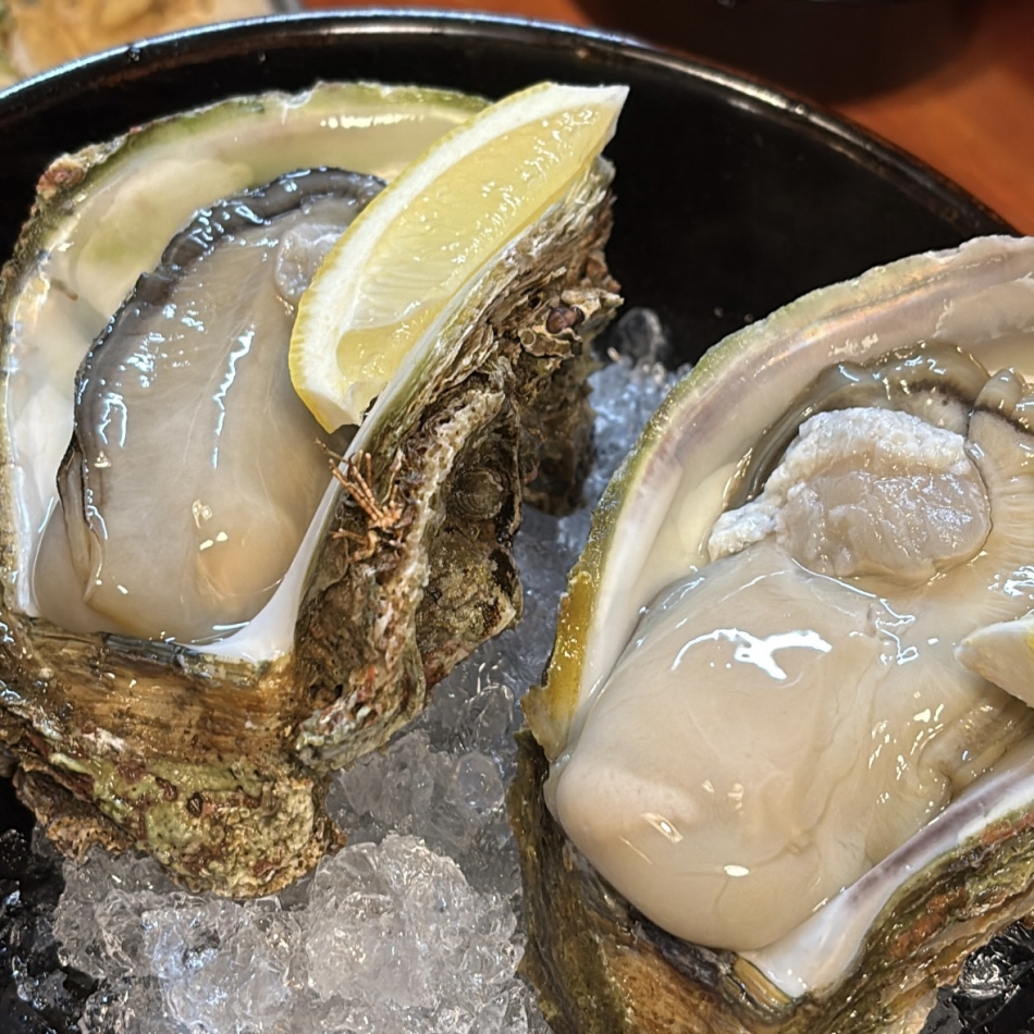 8月31日 07時33分のブログ