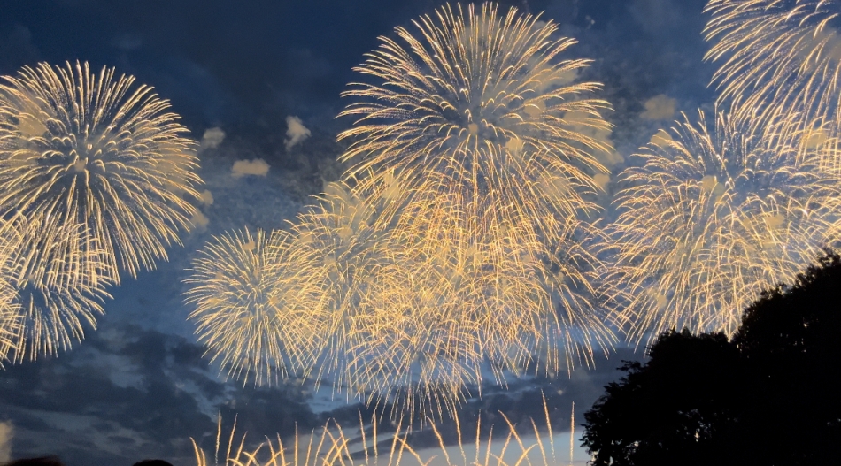 ガールズバー ビアンベニュー日記1143199