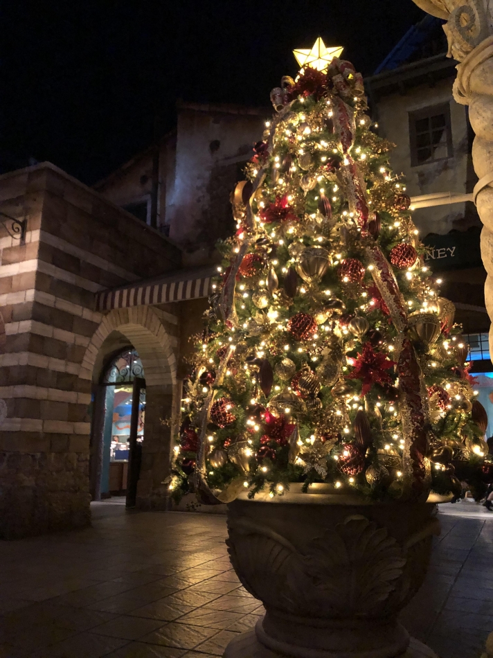 12月突入- ̗̀ 💚🎄