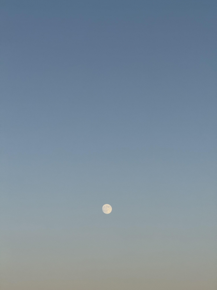 GRAND ROUGE日記1514340