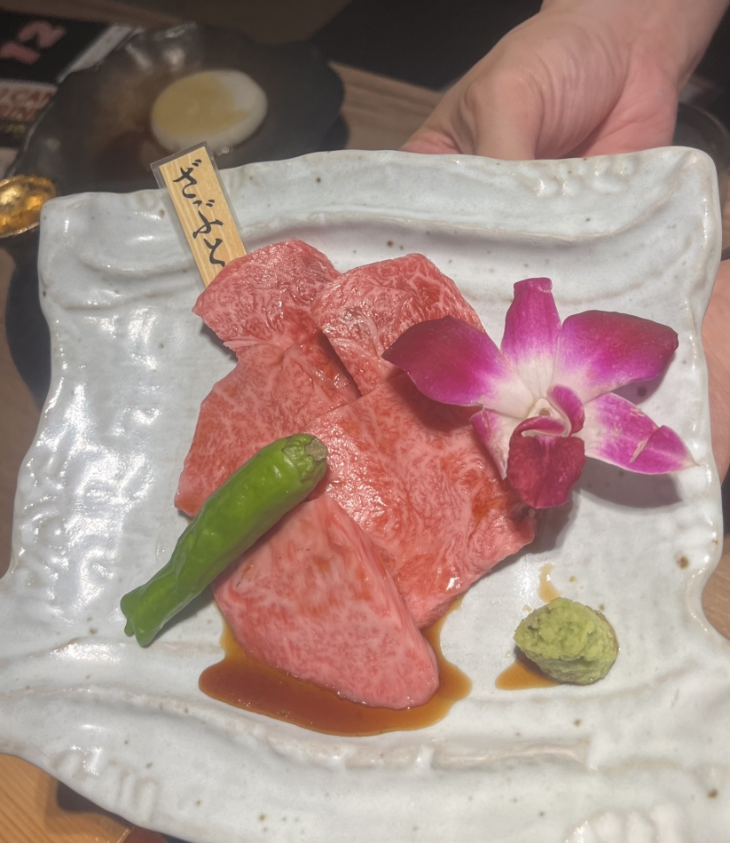 一条 葵
