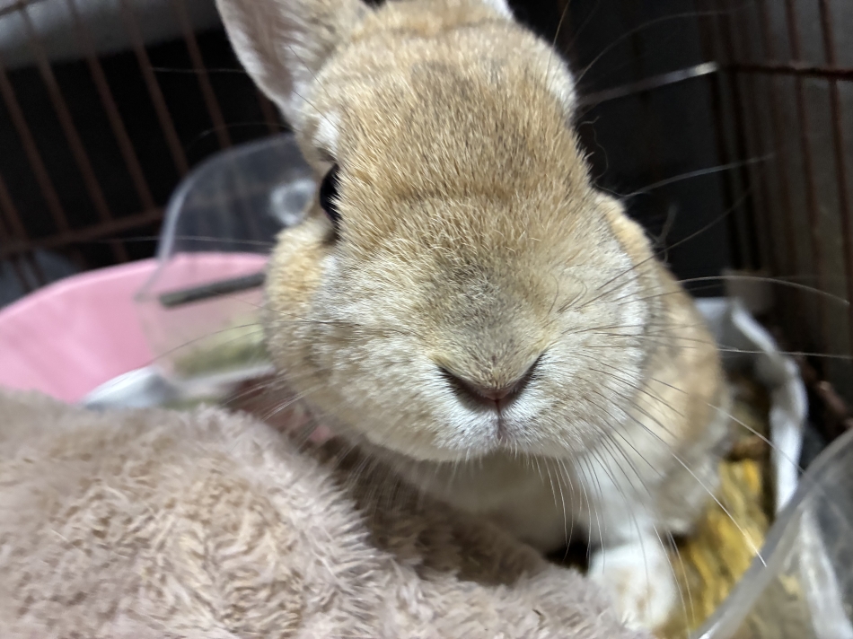 CLUB　Paladin日記1627560